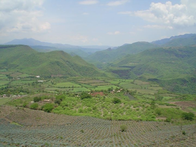  Paesaggi di Jalisco 